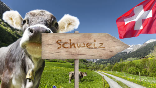 Titelbild Schweiz